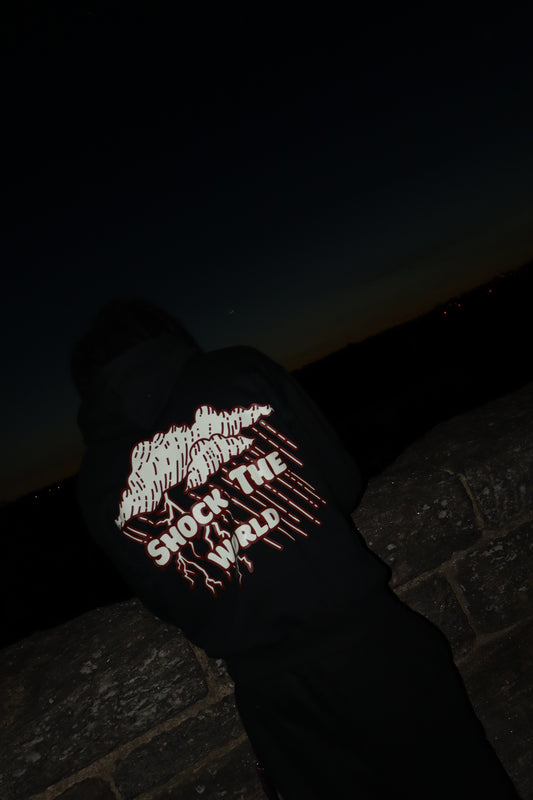 Shock The World Hoodie
